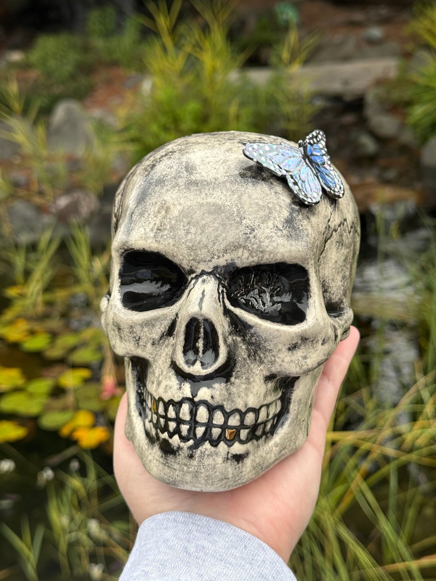 Skull vase with Butterfly