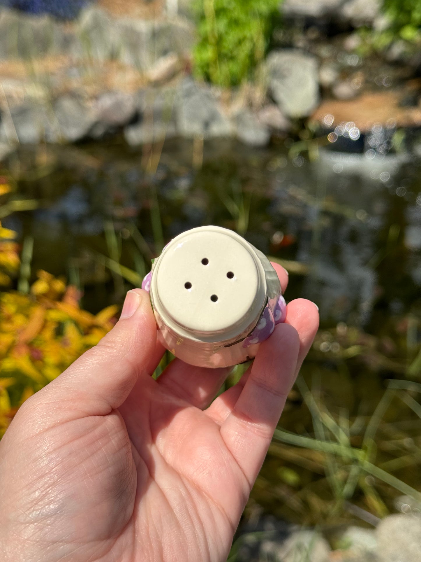 Purple Mushroom Salt and Pepper Shakers with Hats