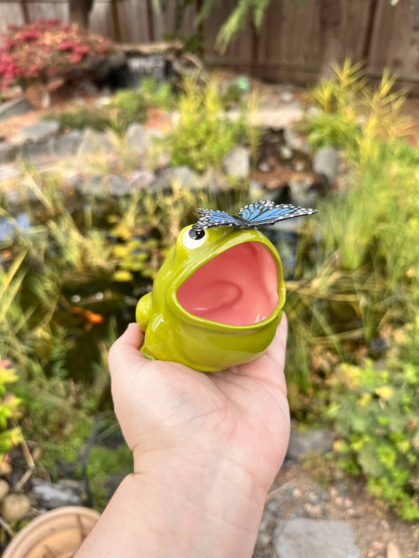 Green Open Mouth Frog with Butterfly