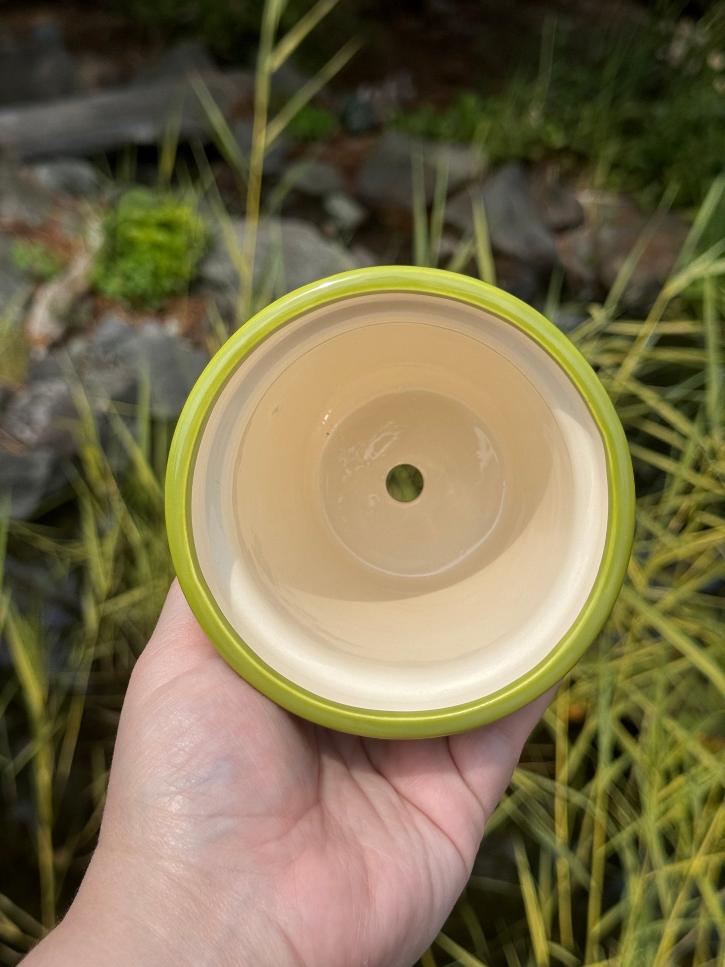 Blobs and Doodles Planter with Drip Tray 2