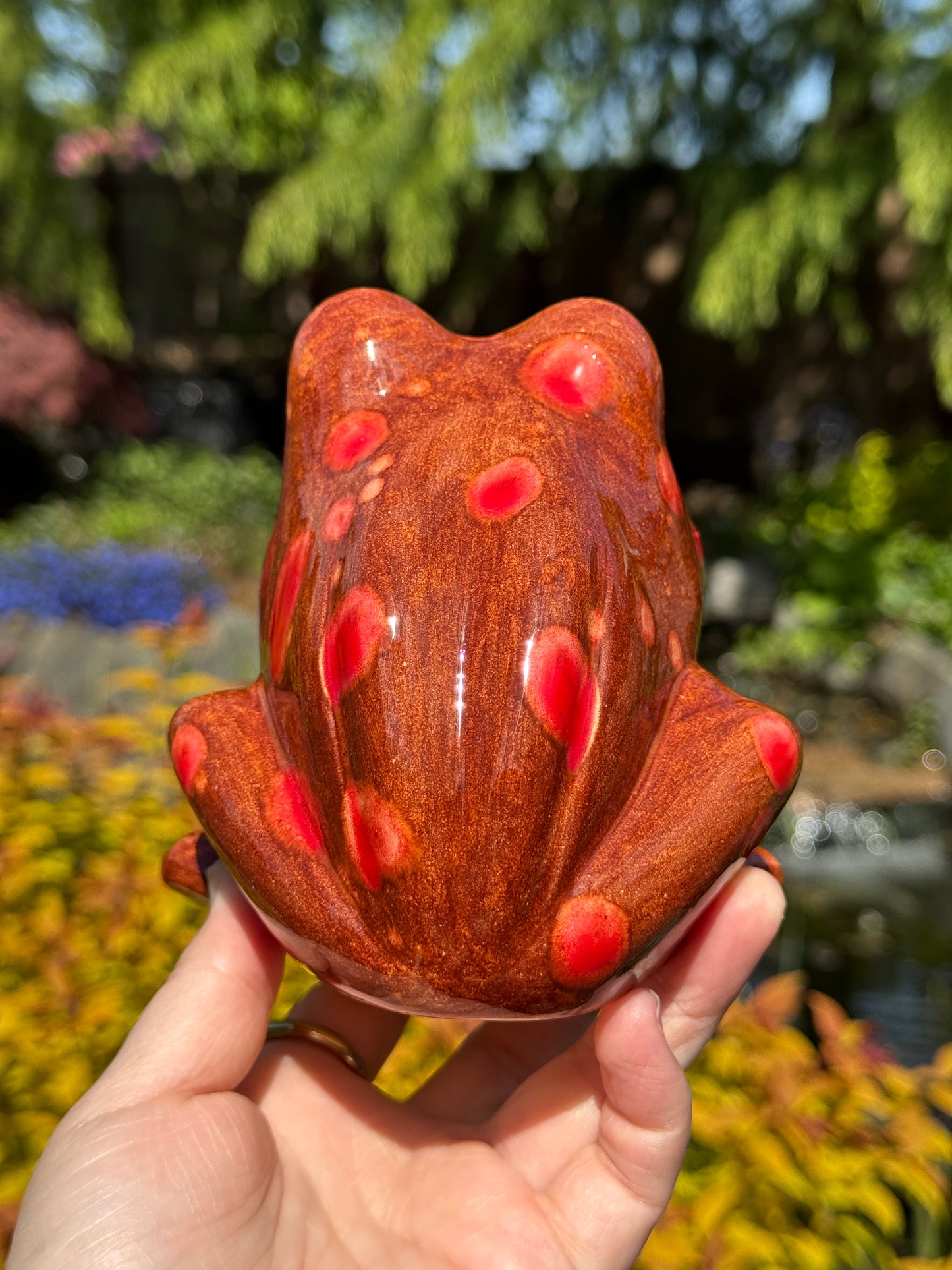Dragon's Breath Open Mouth Frog Scrubby Holder