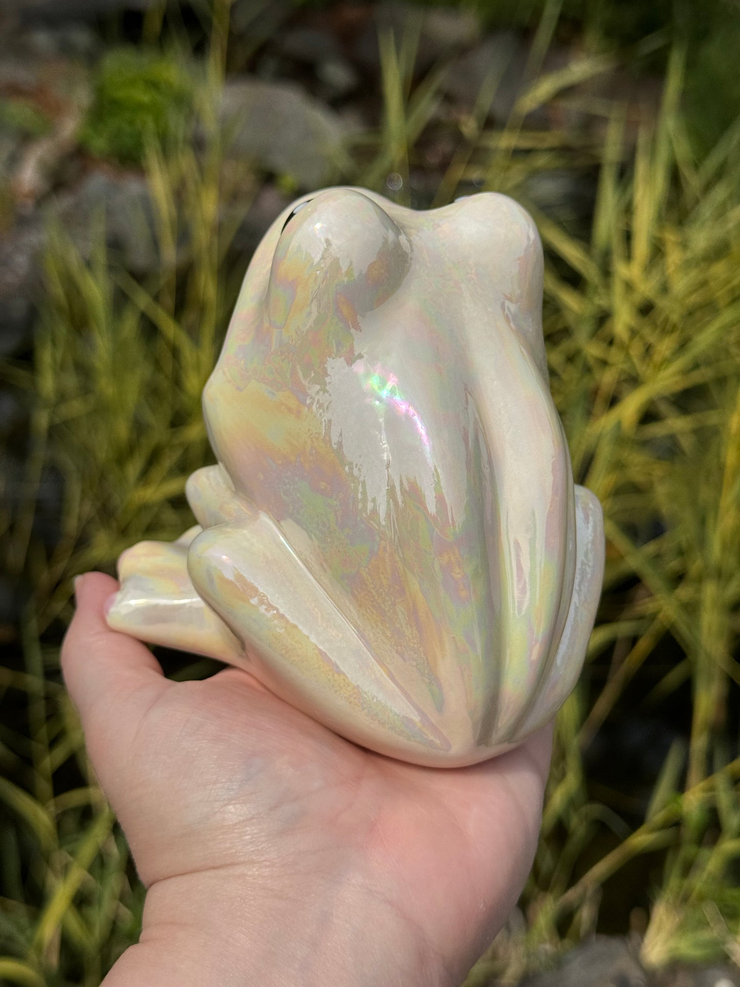 Mother of Pearl Open Mouth Frog Scrubby Holder