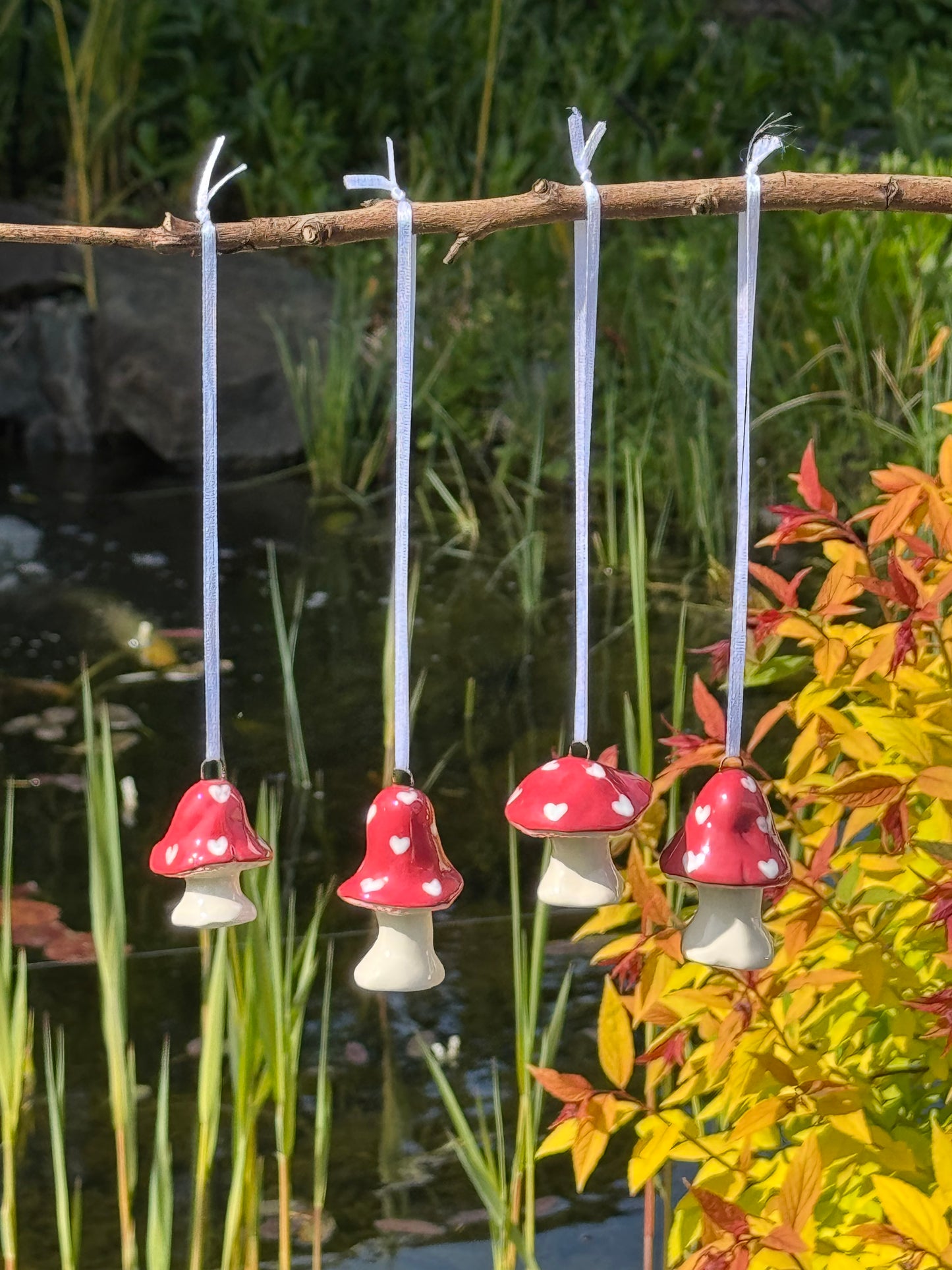 Red Hearts Hanging Mushroom
