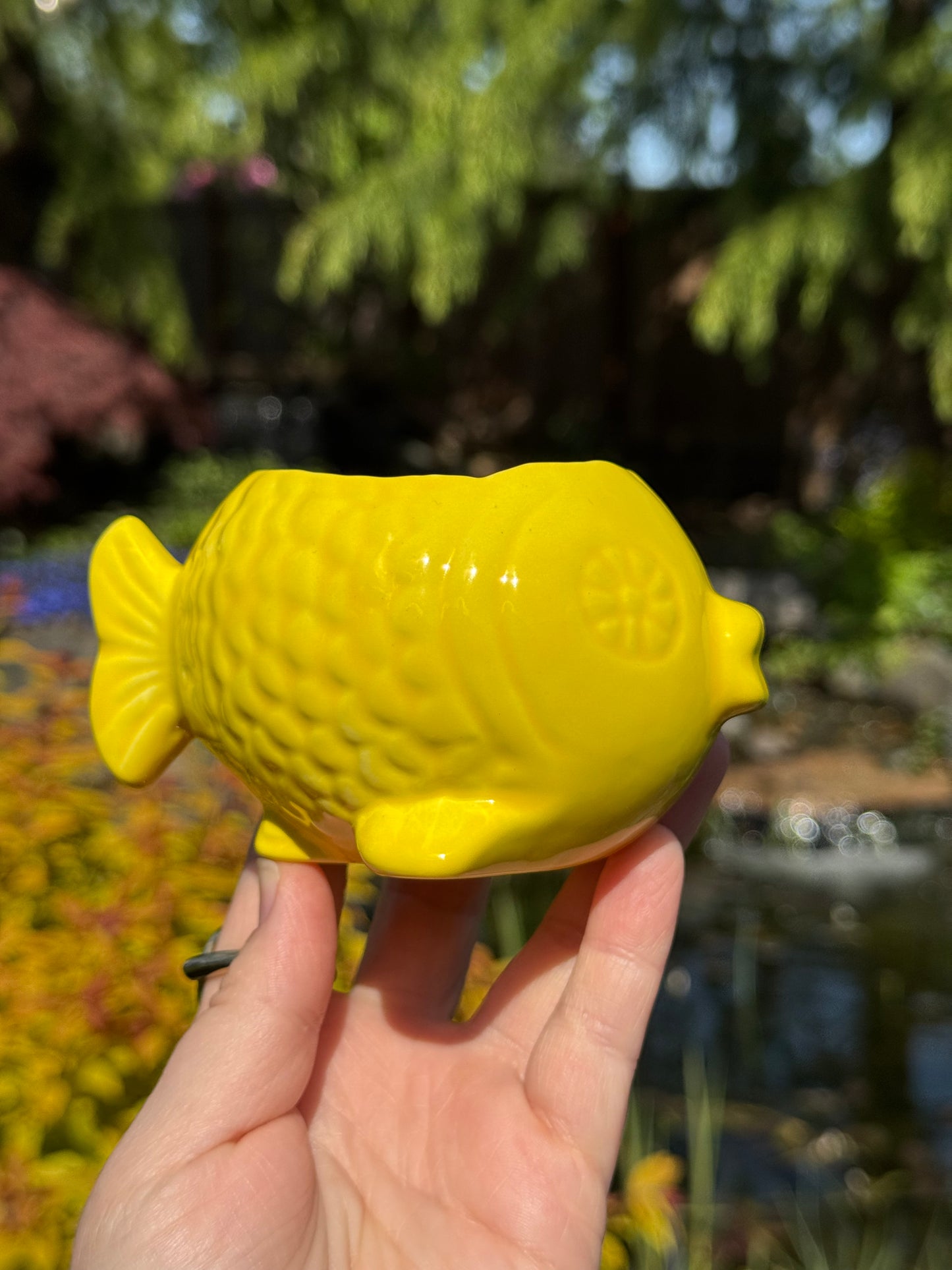 Flower Power Yellow Fish Planter