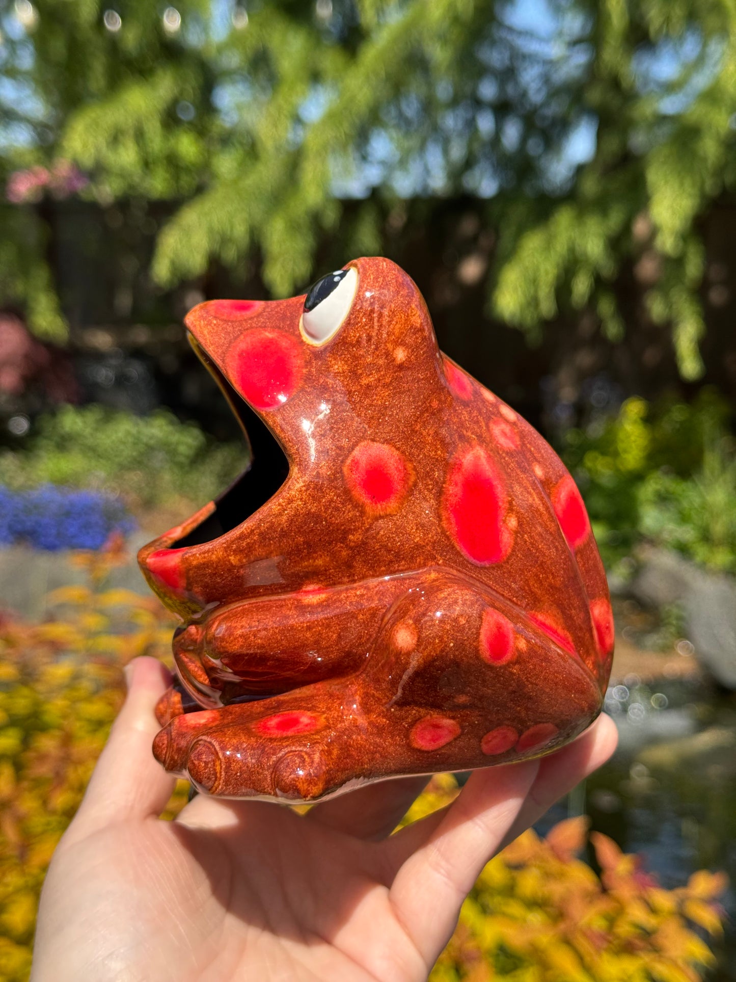 Dragon's Breath Open Mouth Frog Scrubby Holder