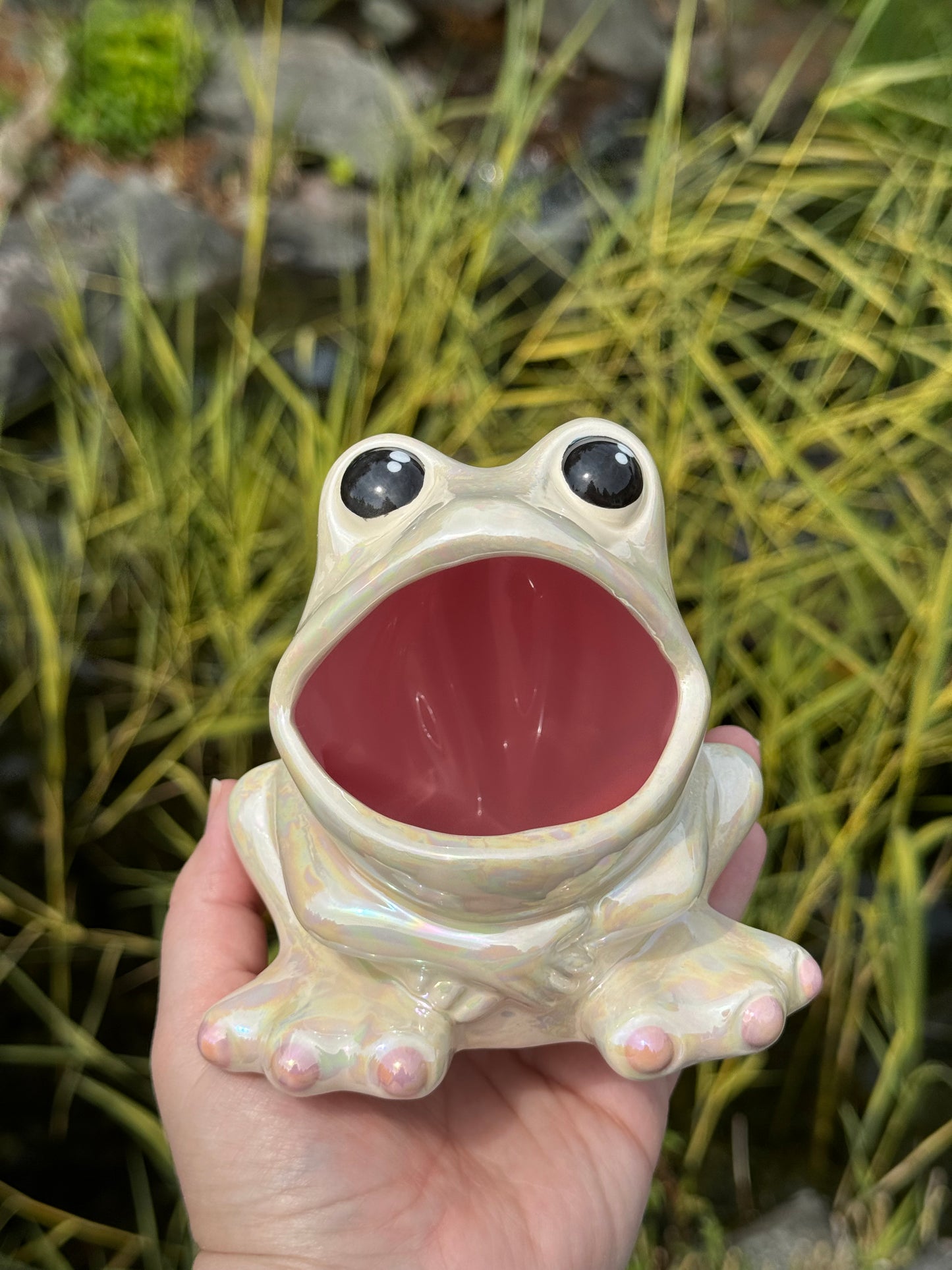 Mother of Pearl Open Mouth Frog Scrubby Holder