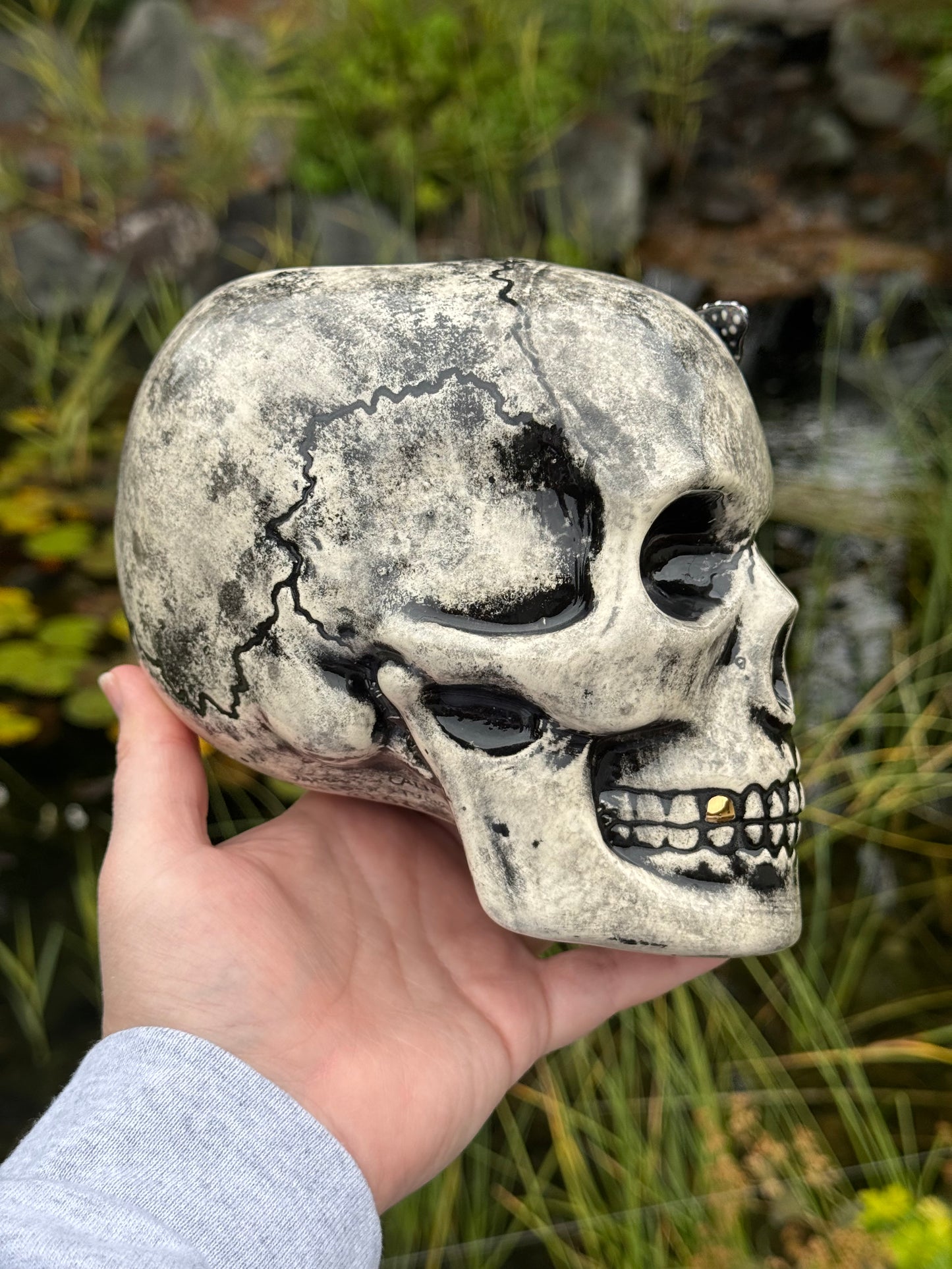 Skull vase with Butterfly
