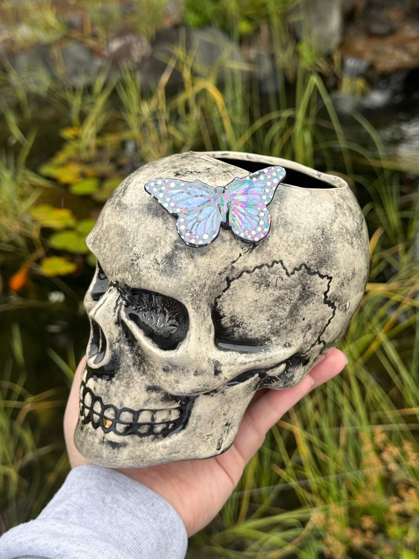 Skull vase with Butterfly