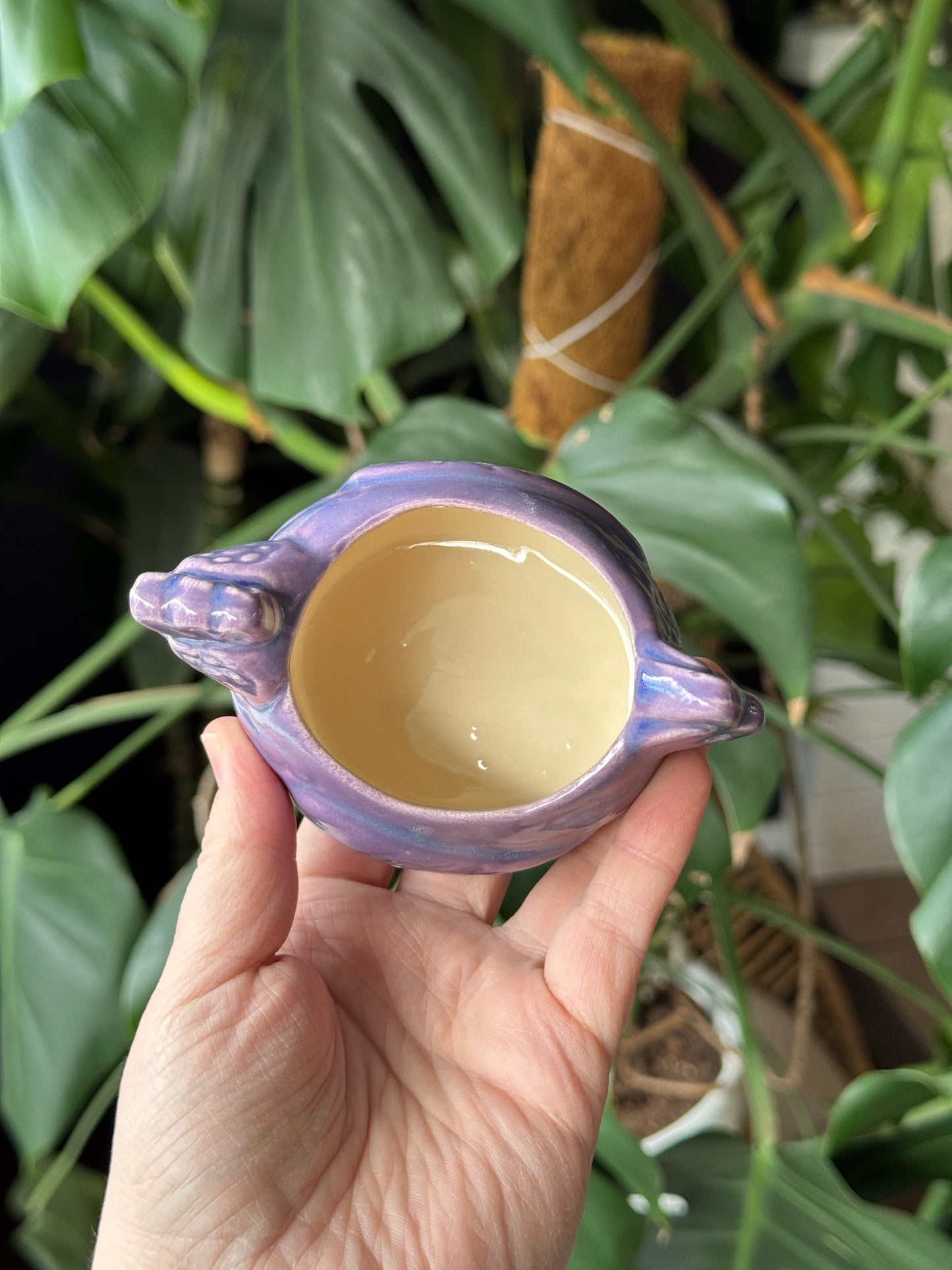 Flower Power Purple Chicken Planter