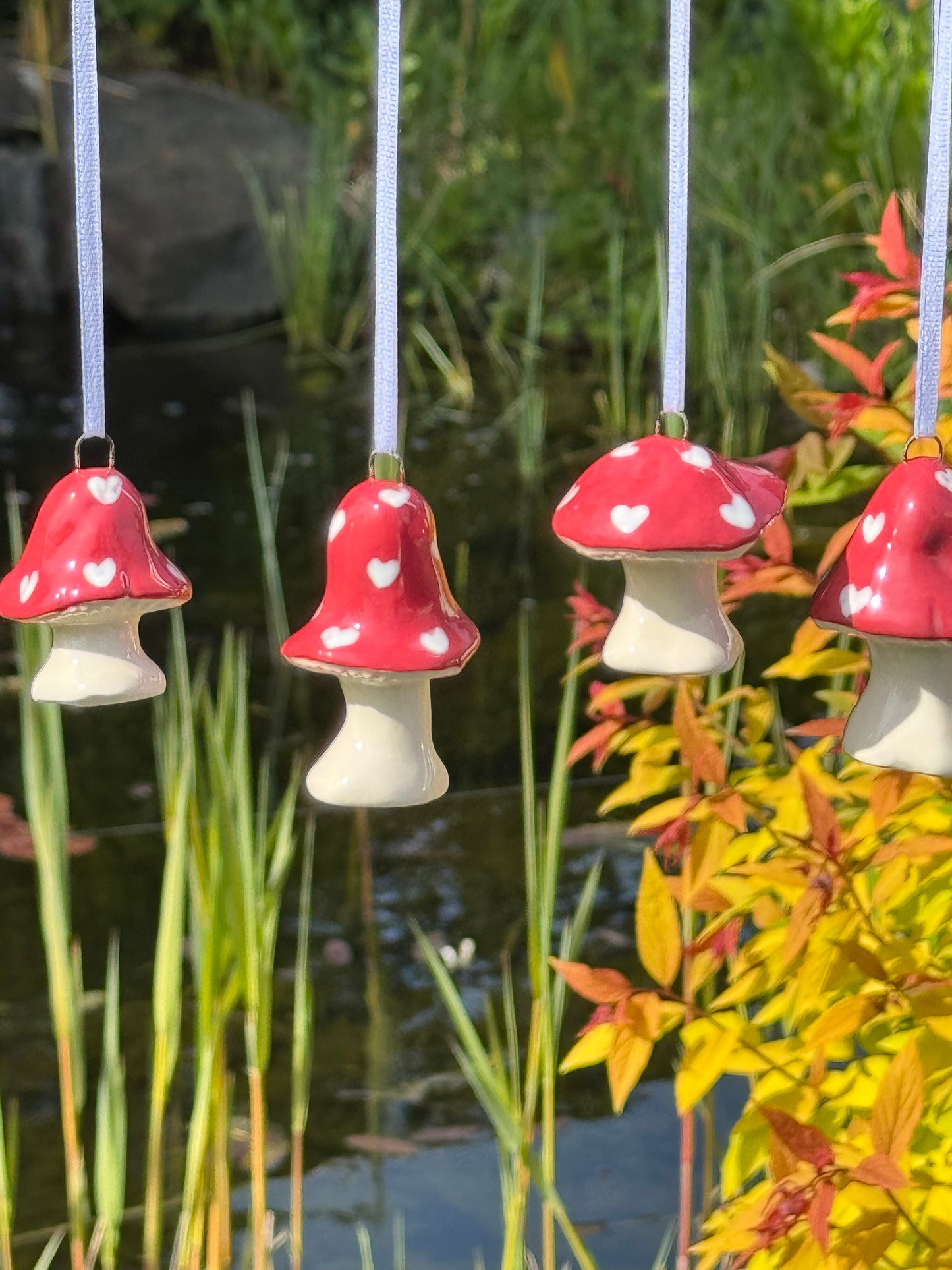 Red Hearts Hanging Mushroom