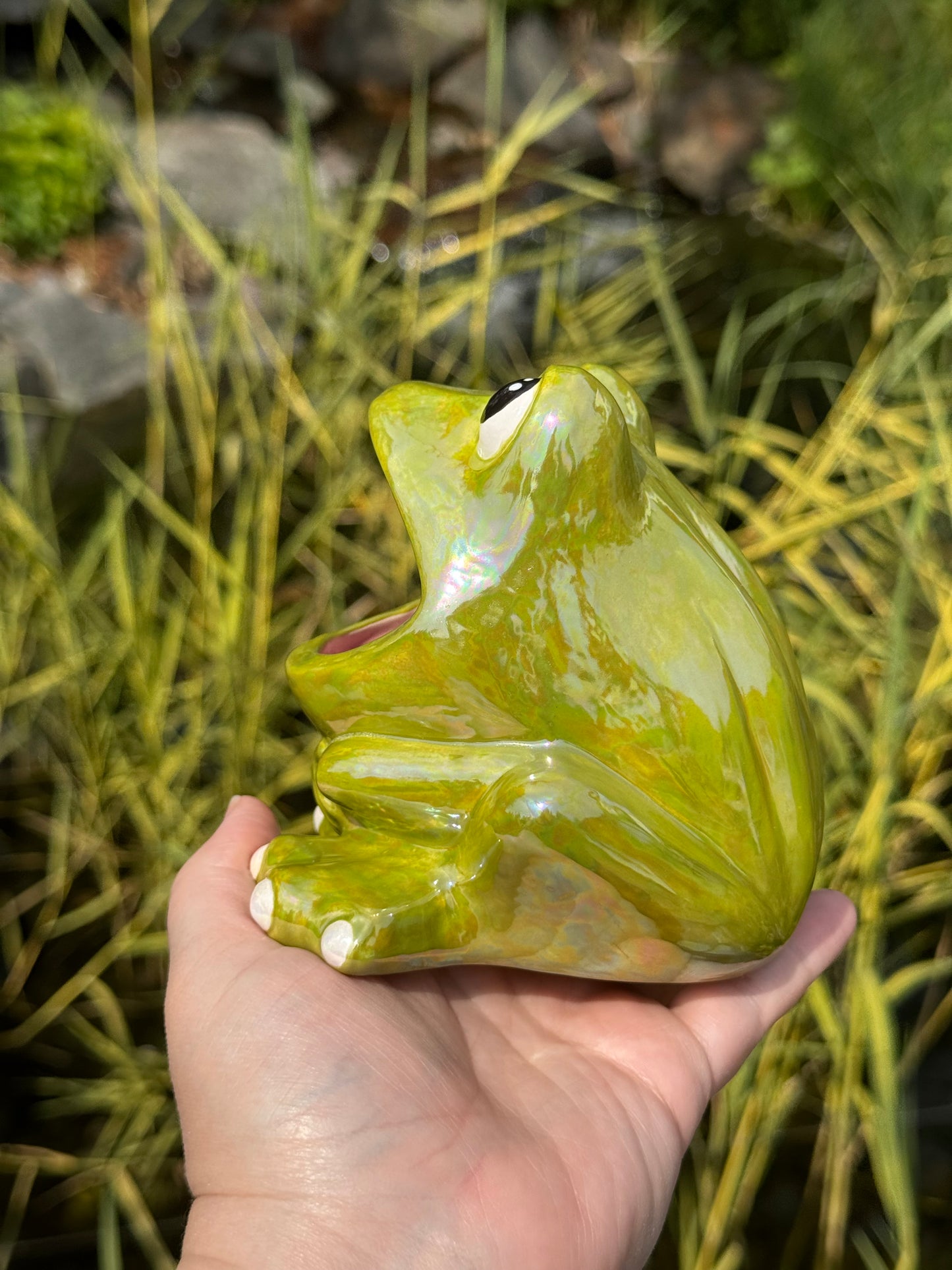 Green Mother of Pearl Open Mouth Frog Scrubby Holder