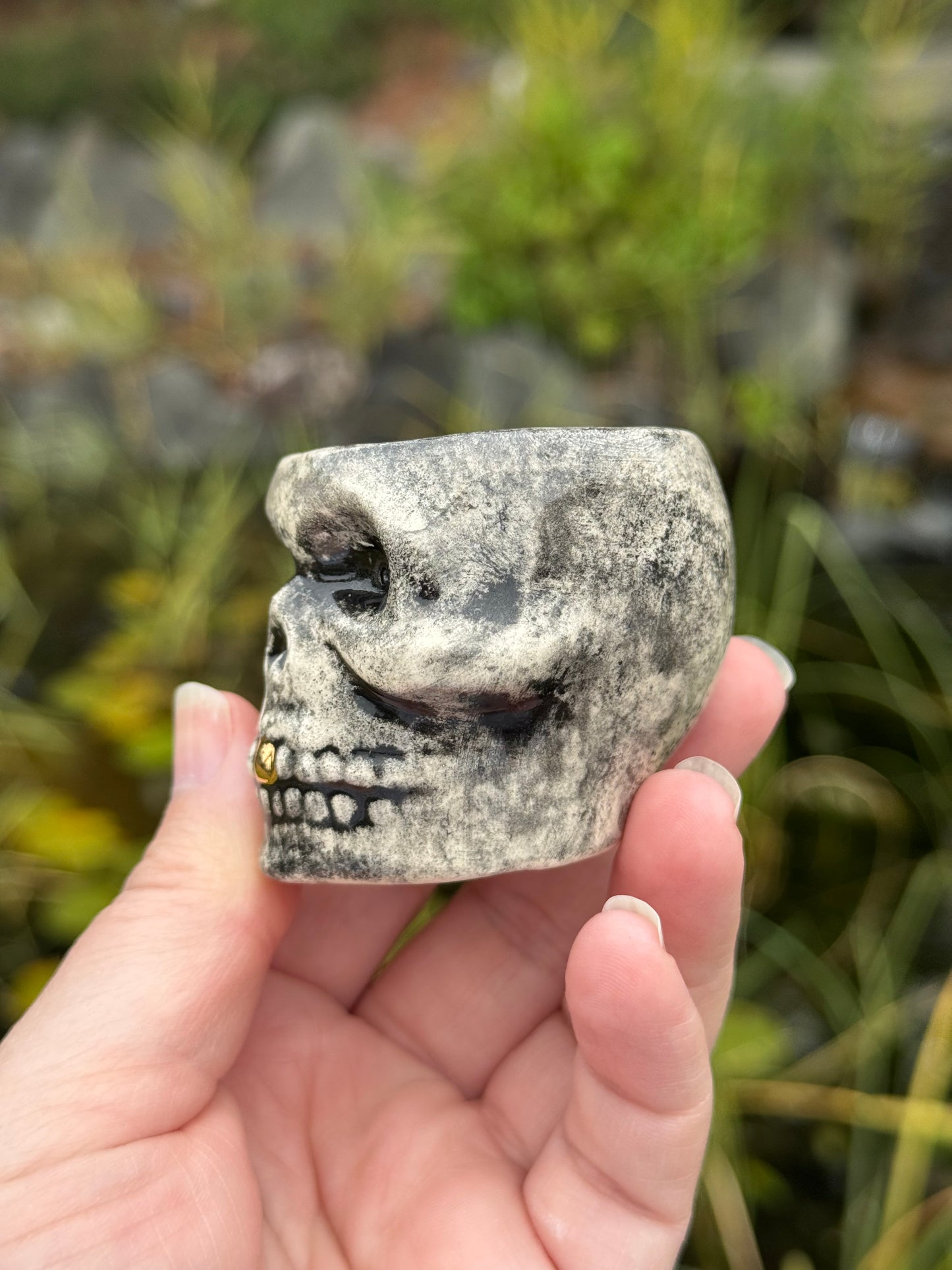Skull Shot Glass with real gold teeth