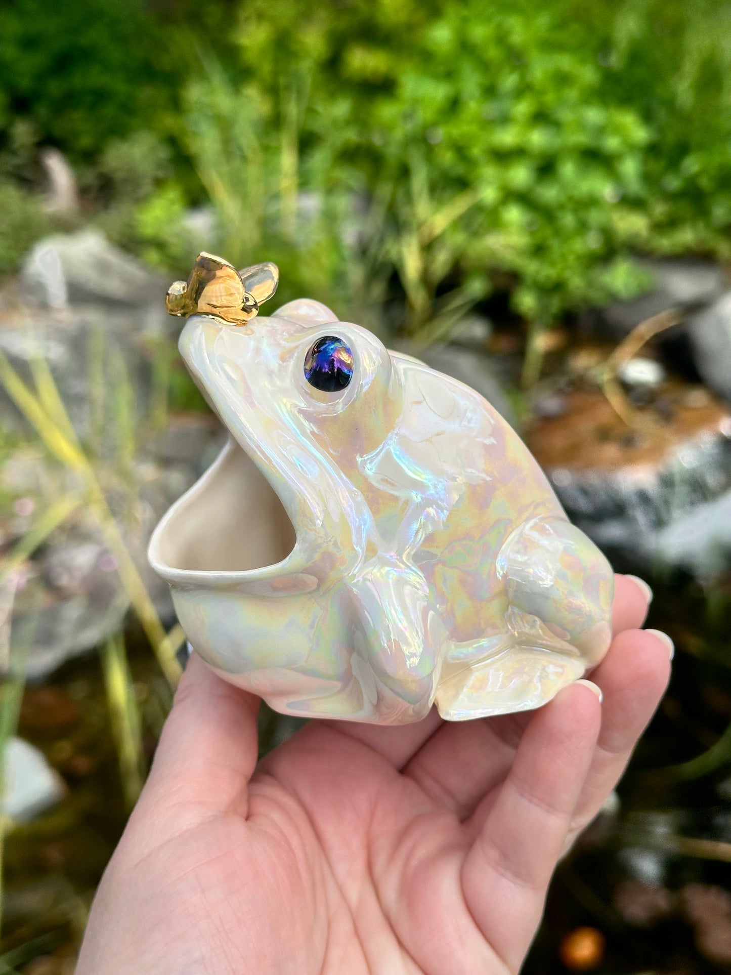 Open Mouth Frog with Mother of Pearl and Gold Fly
