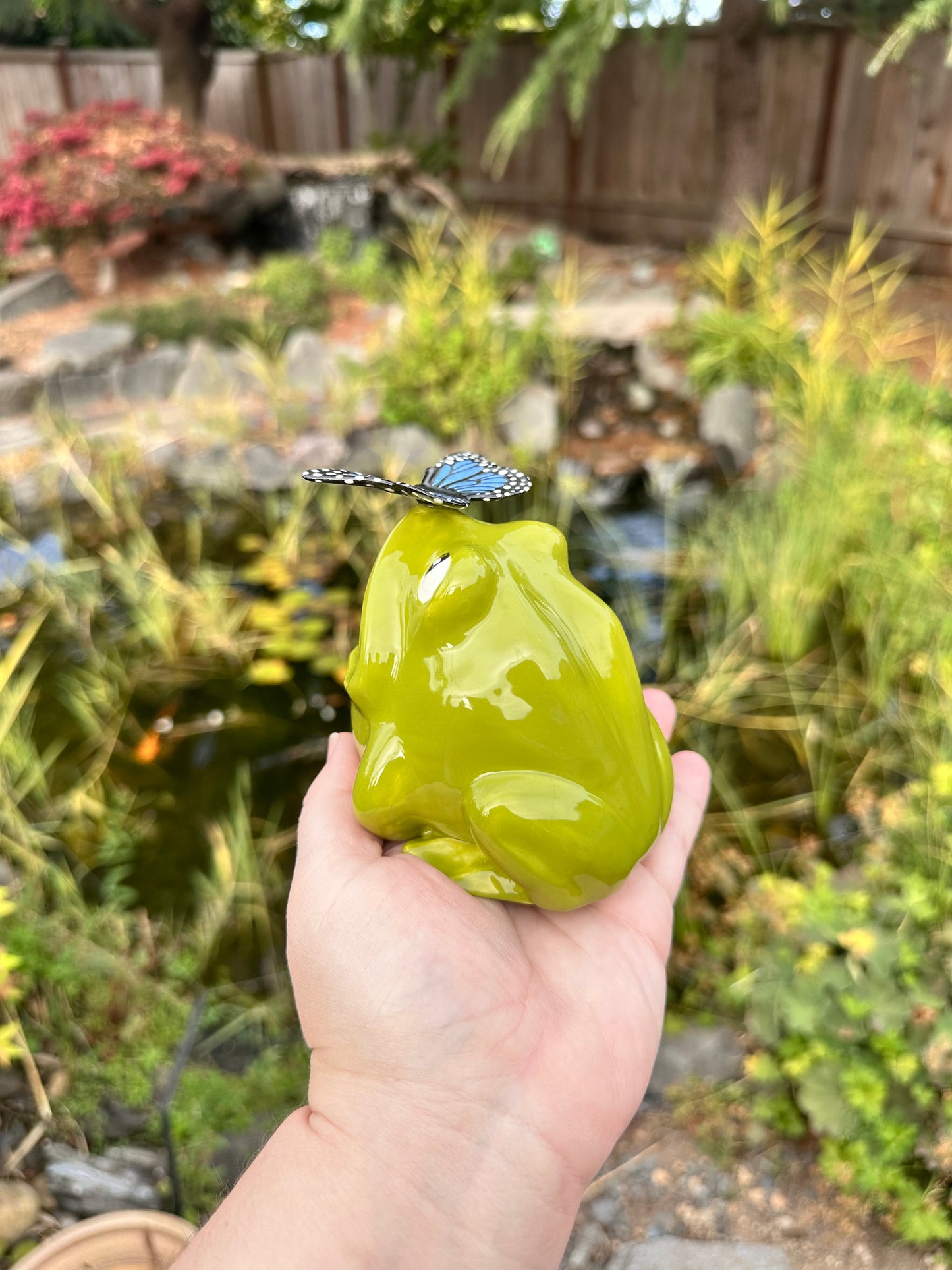 Green Open Mouth Frog with Butterfly