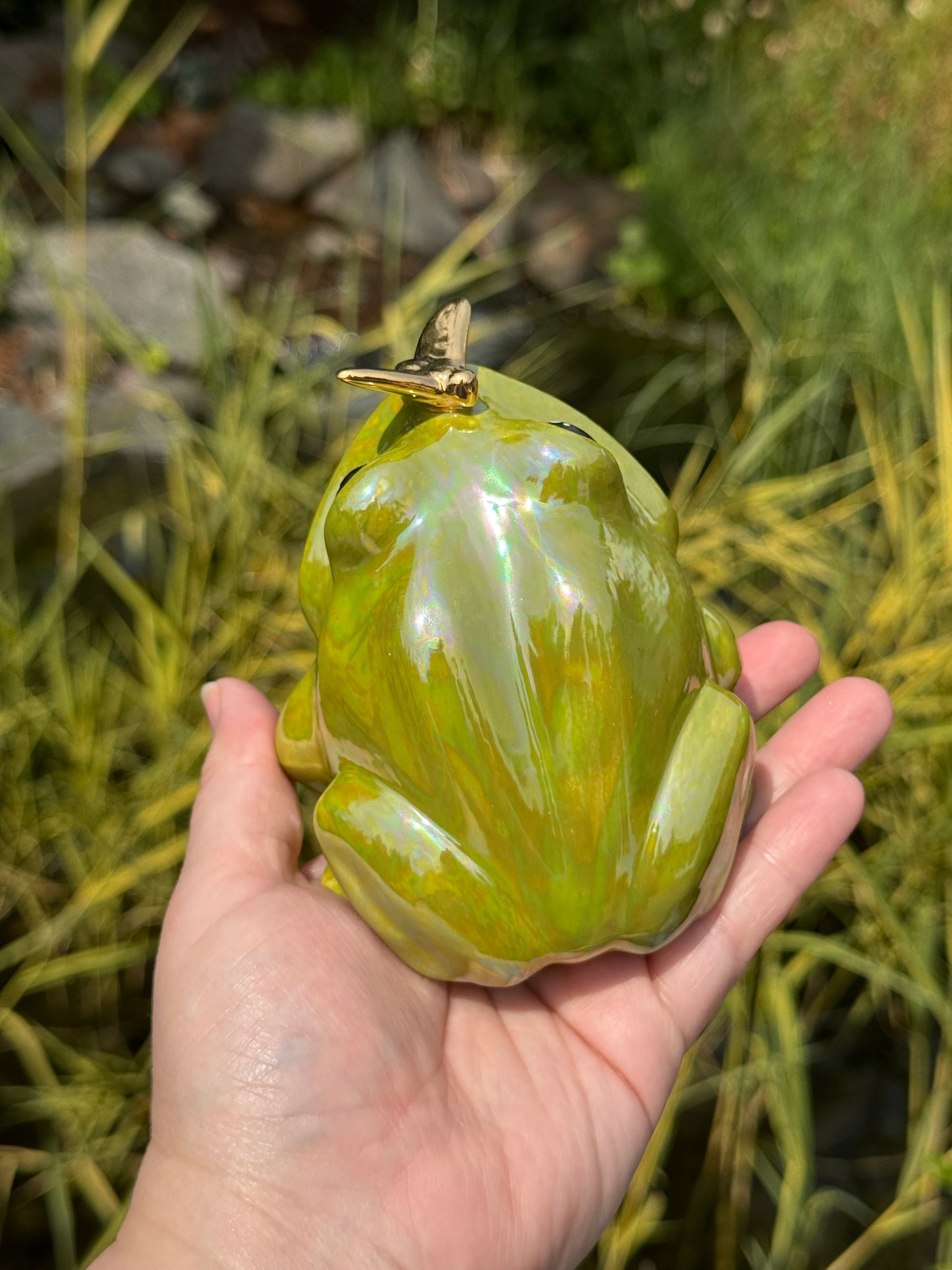 Green Open Mouth Frog with Mother of Pearl and Gold Fly