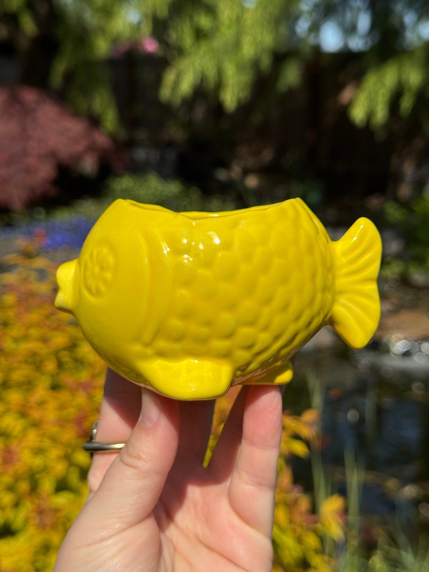 Flower Power Yellow Fish Planter