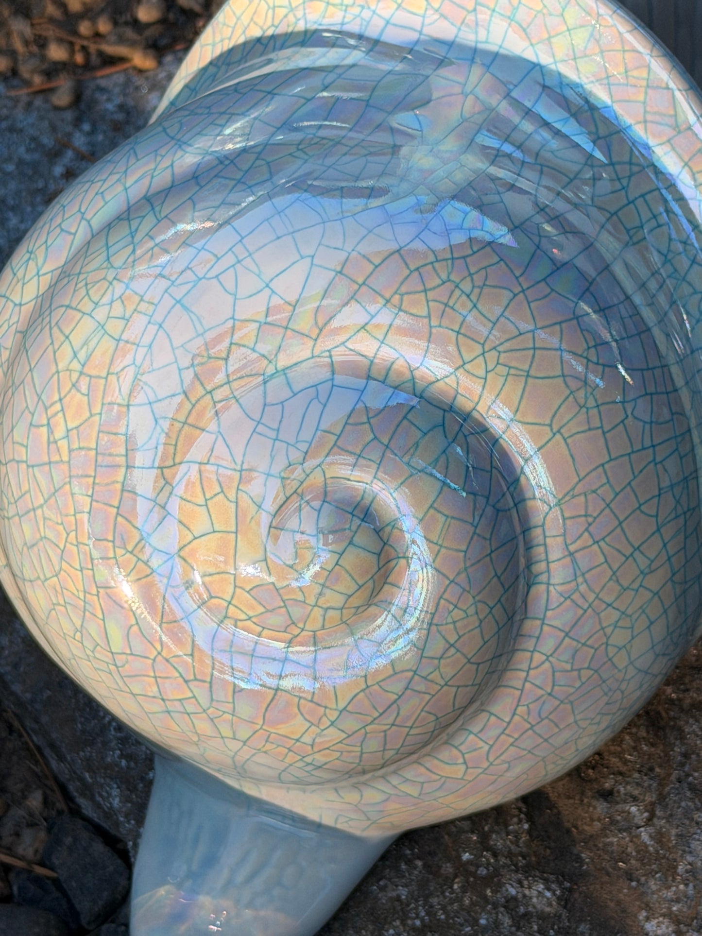 Light Blue Snail with Crackle Shell