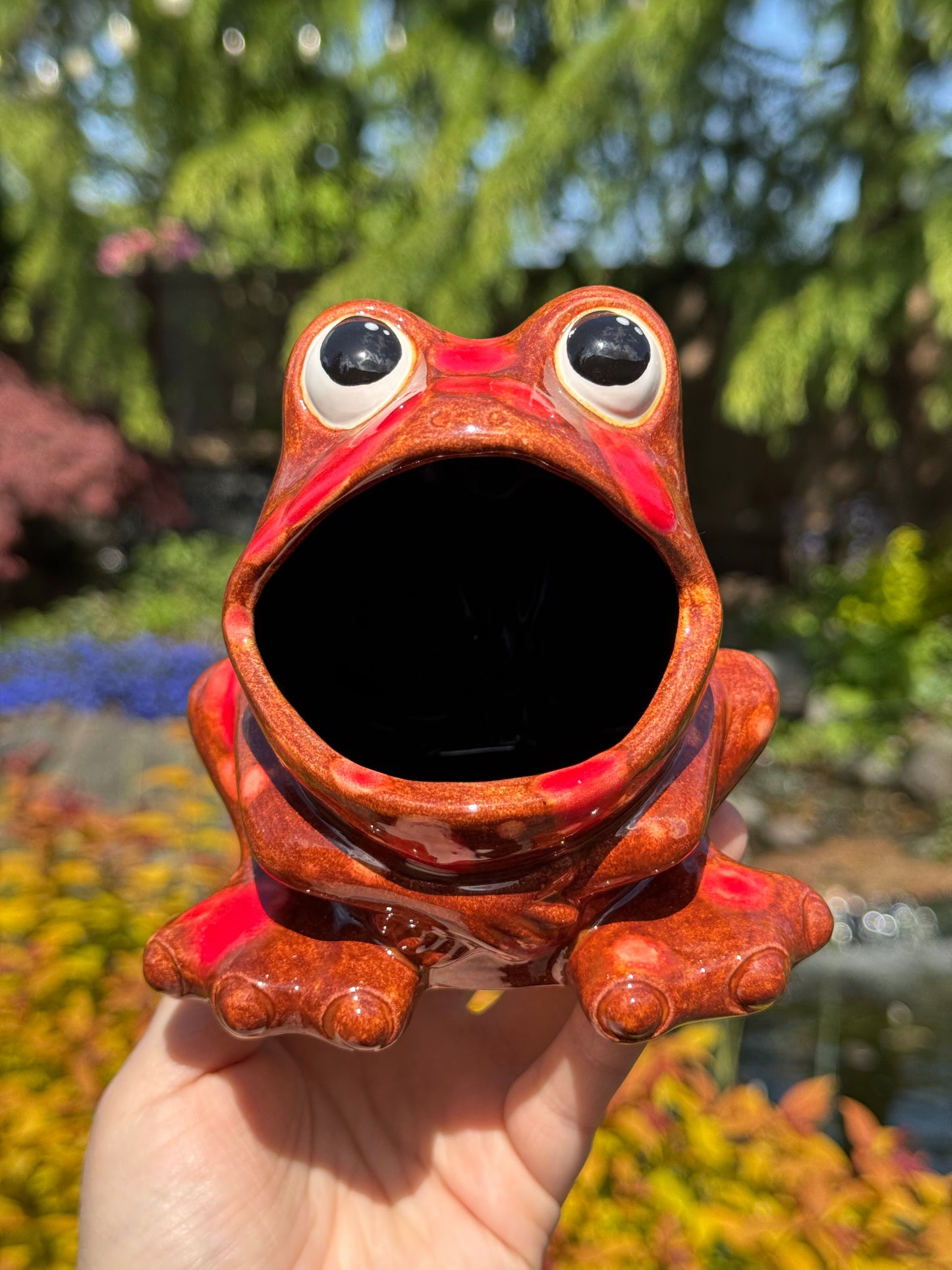 Dragon's Breath Open Mouth Frog Scrubby Holder