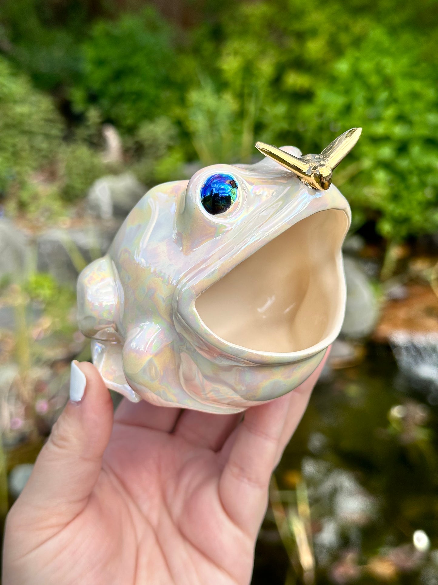 Open Mouth Frog with Mother of Pearl and Gold Fly