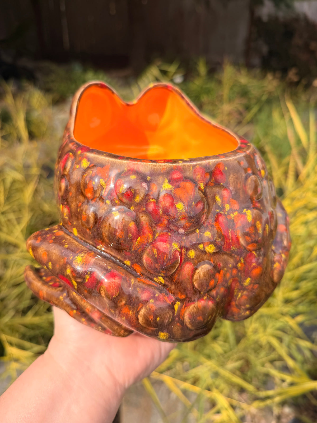 Frog Planter #2