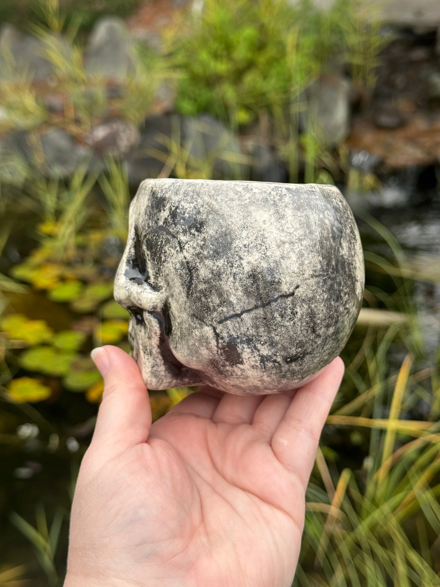Skull Cup with 2 Real Gold Teeth