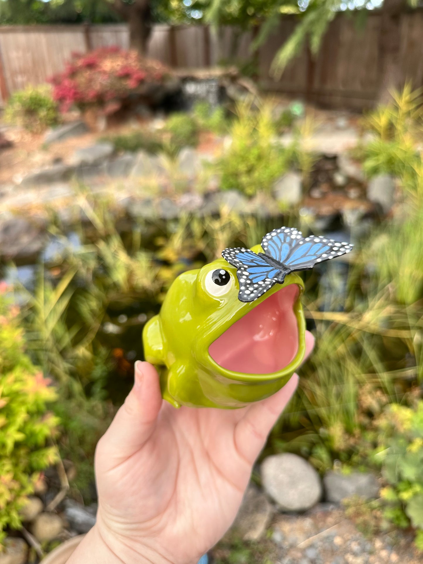 Green Open Mouth Frog with Butterfly