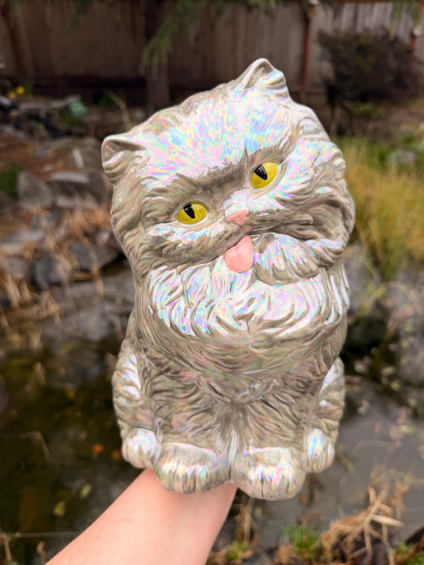 Pearly Gray Tongue out Kitten