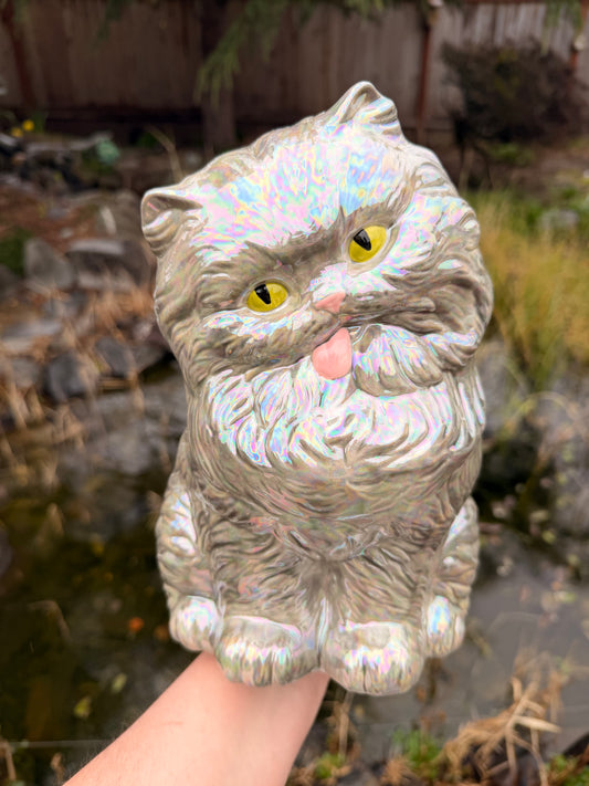 Pearly Gray Tongue out Kitten