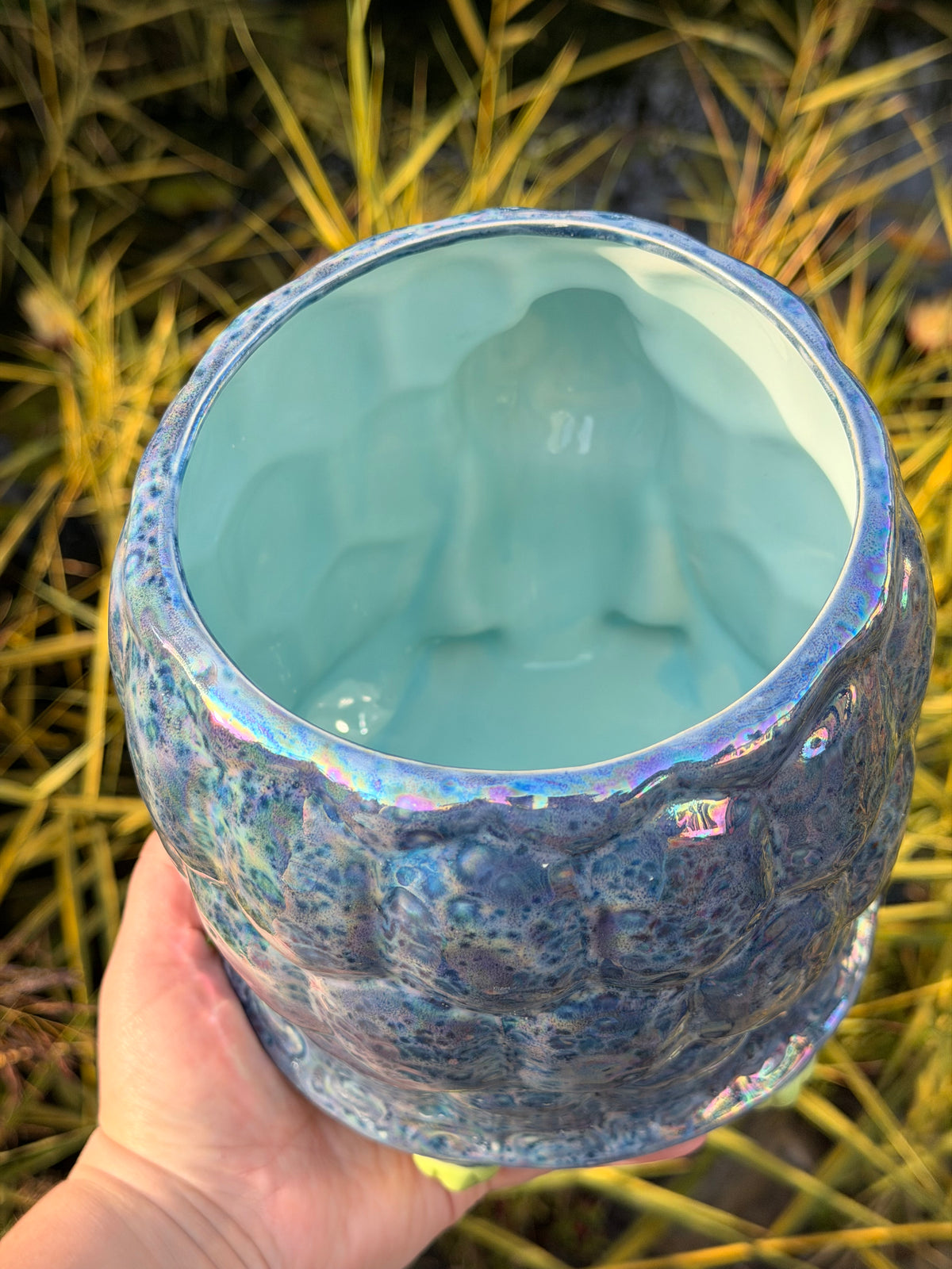 Turtle Planter #1