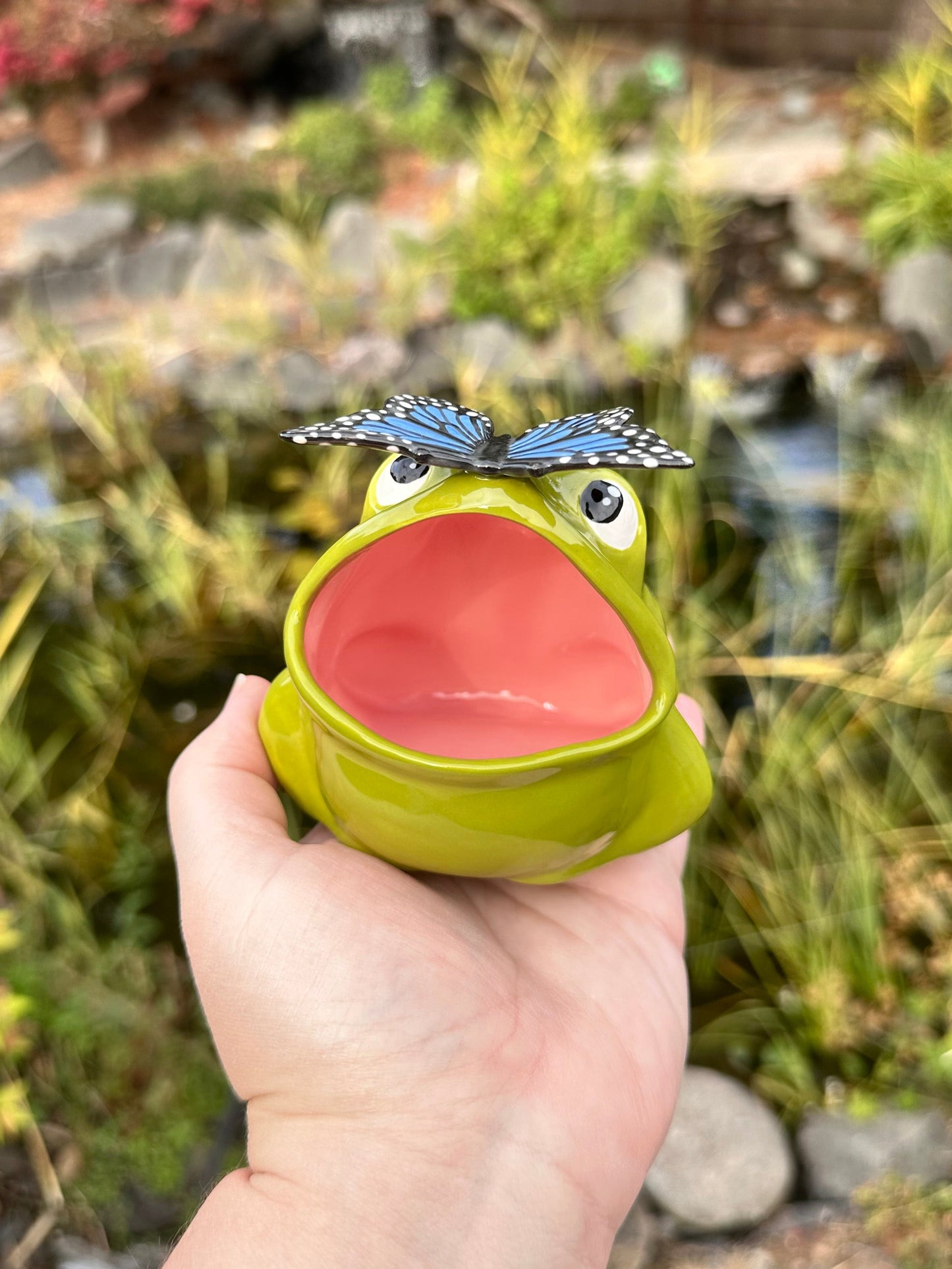 Green Open Mouth Frog with Butterfly