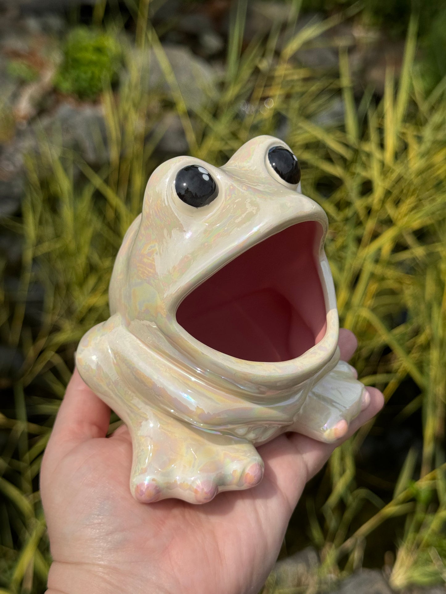 Mother of Pearl Open Mouth Frog Scrubby Holder