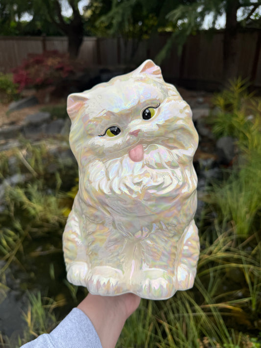 Tongue out Kitten with Green Eyes and Mother of Pearl