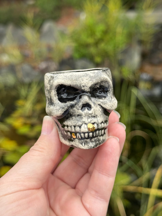 Skull Shot Glass with real gold teeth