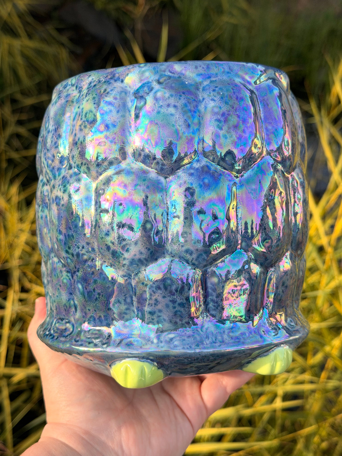 Turtle Planter #1