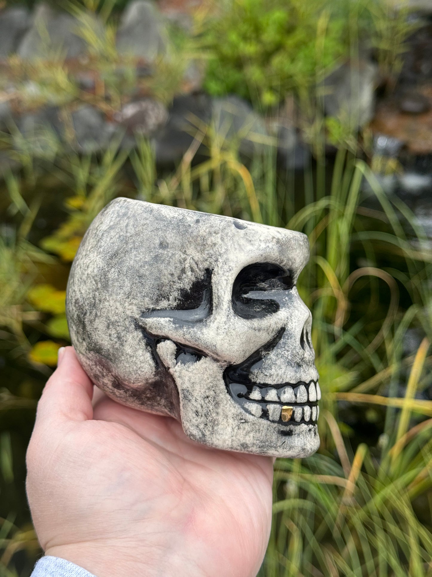 Skull Cup with 2 Real Gold Teeth
