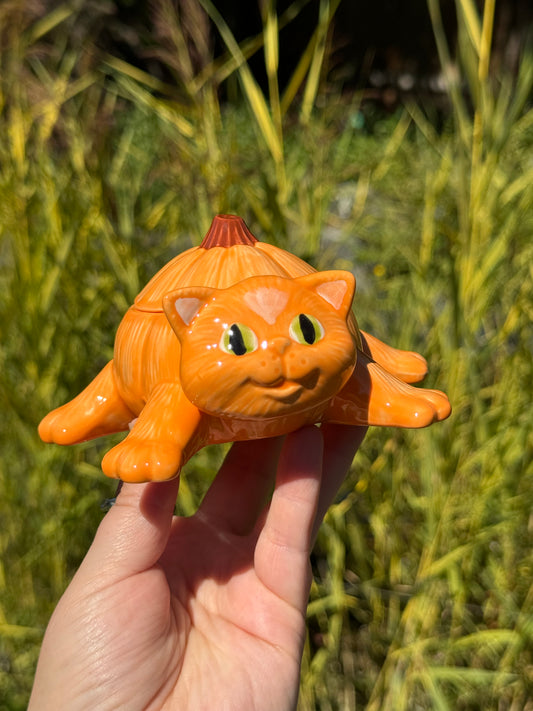 Orange "pumpkitten"