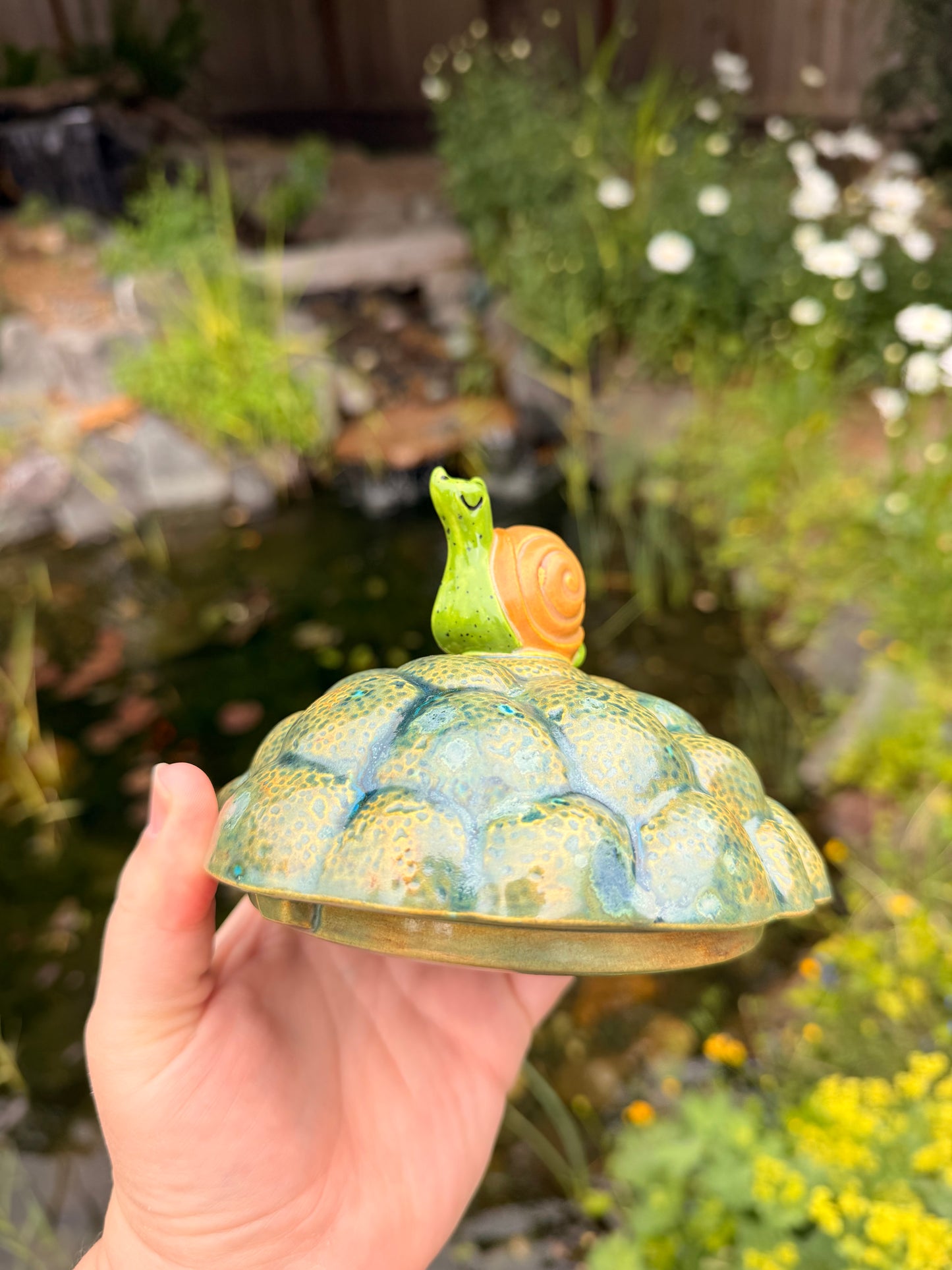 "Sturgell the Turtle" Cookie Jar