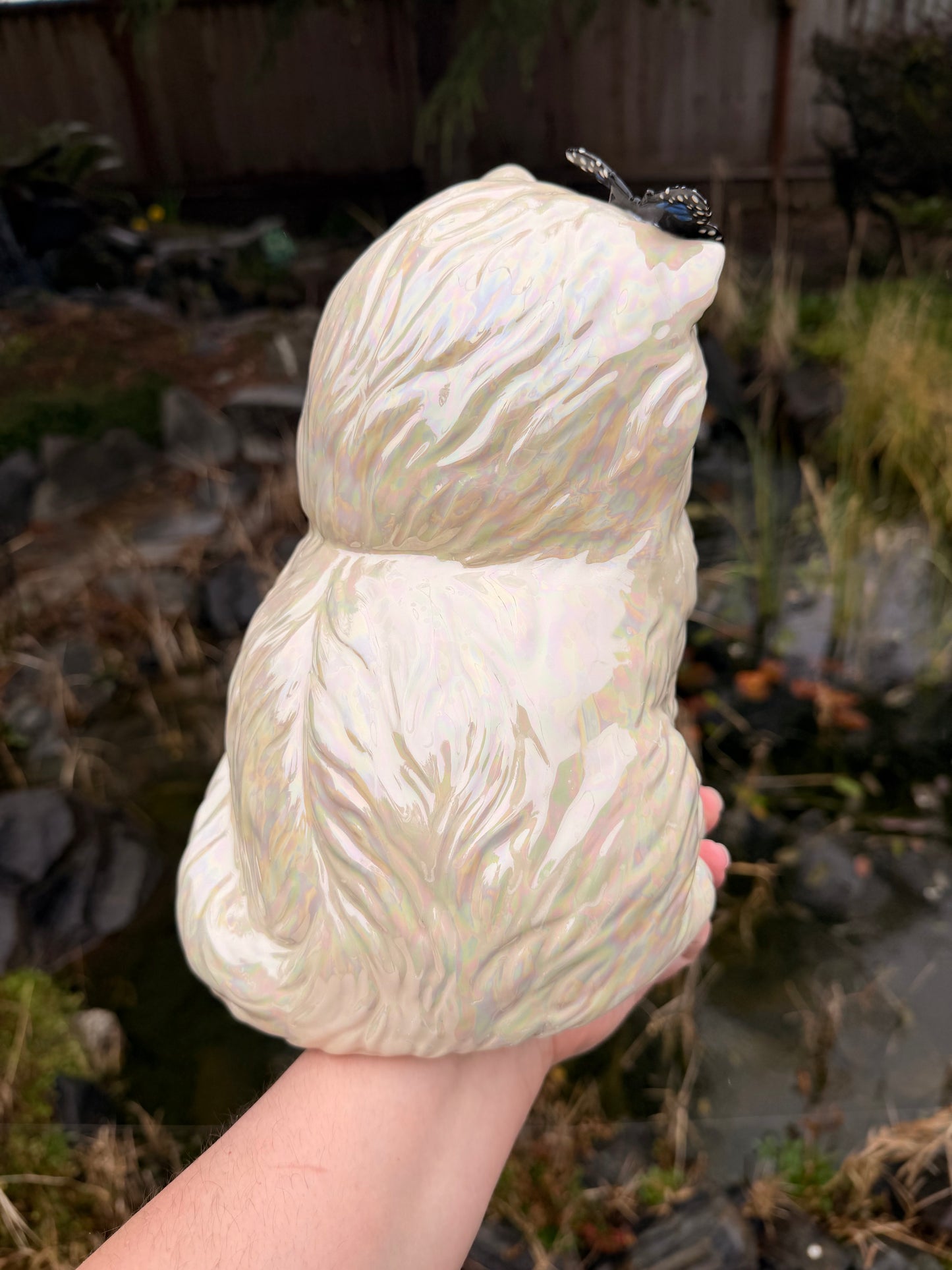 Pearly Tongue out Kitten with Butterfly