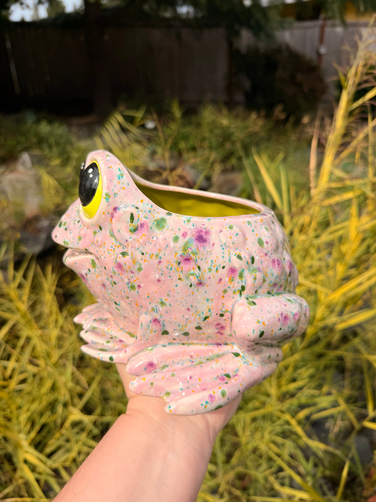 Frog Planter #1
