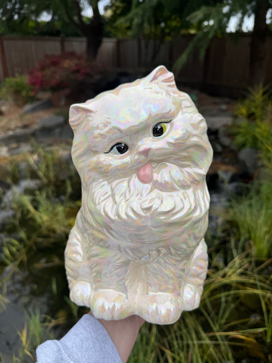 Tongue out Kitten with Multicolored Eyes and Mother of Pearl