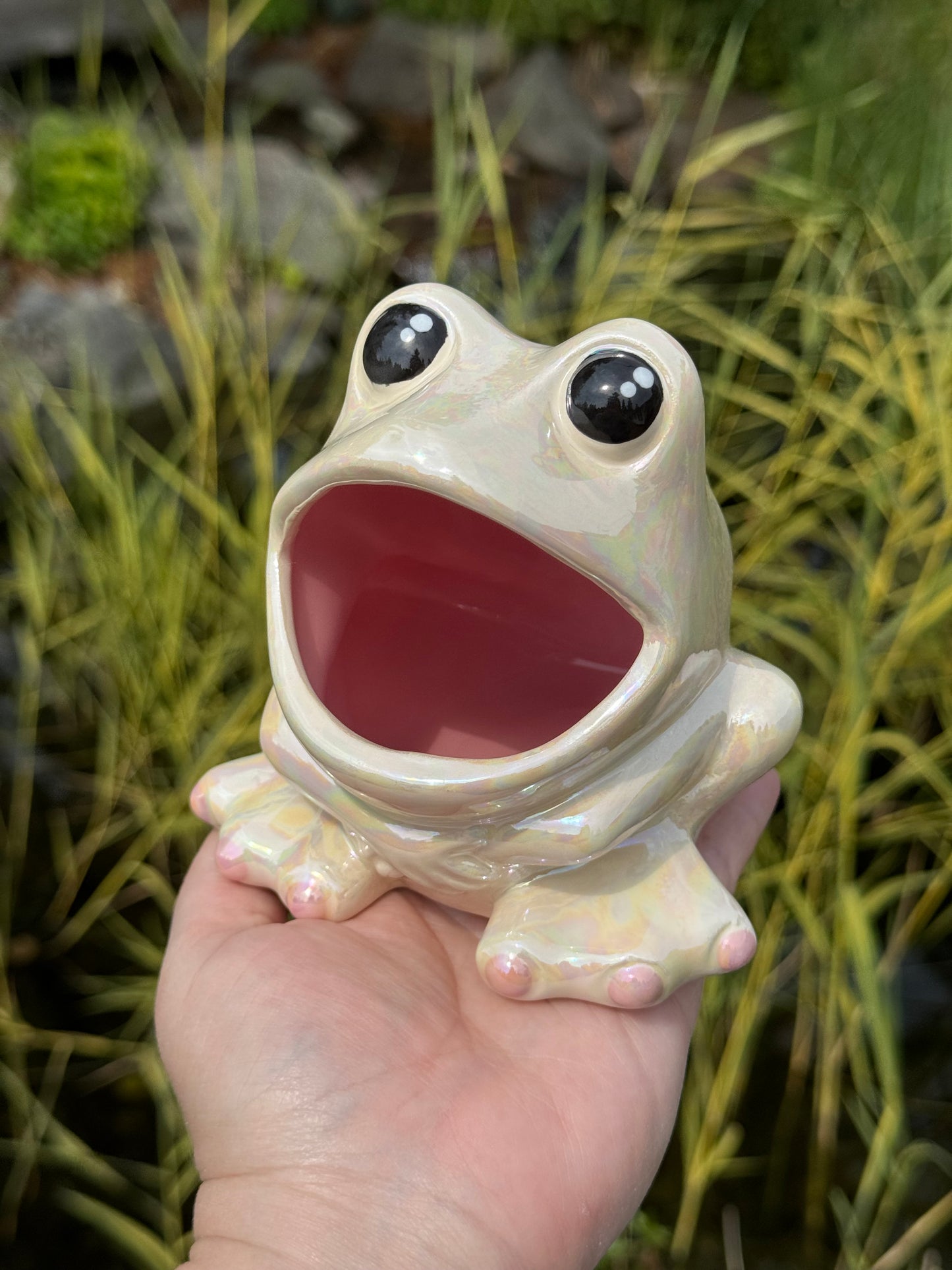 Mother of Pearl Open Mouth Frog Scrubby Holder
