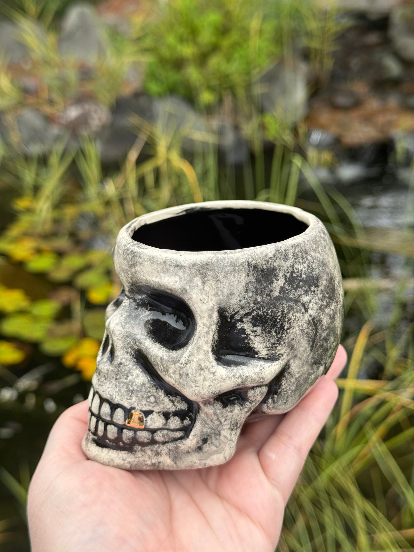 Skull Cup with 2 Real Gold Teeth