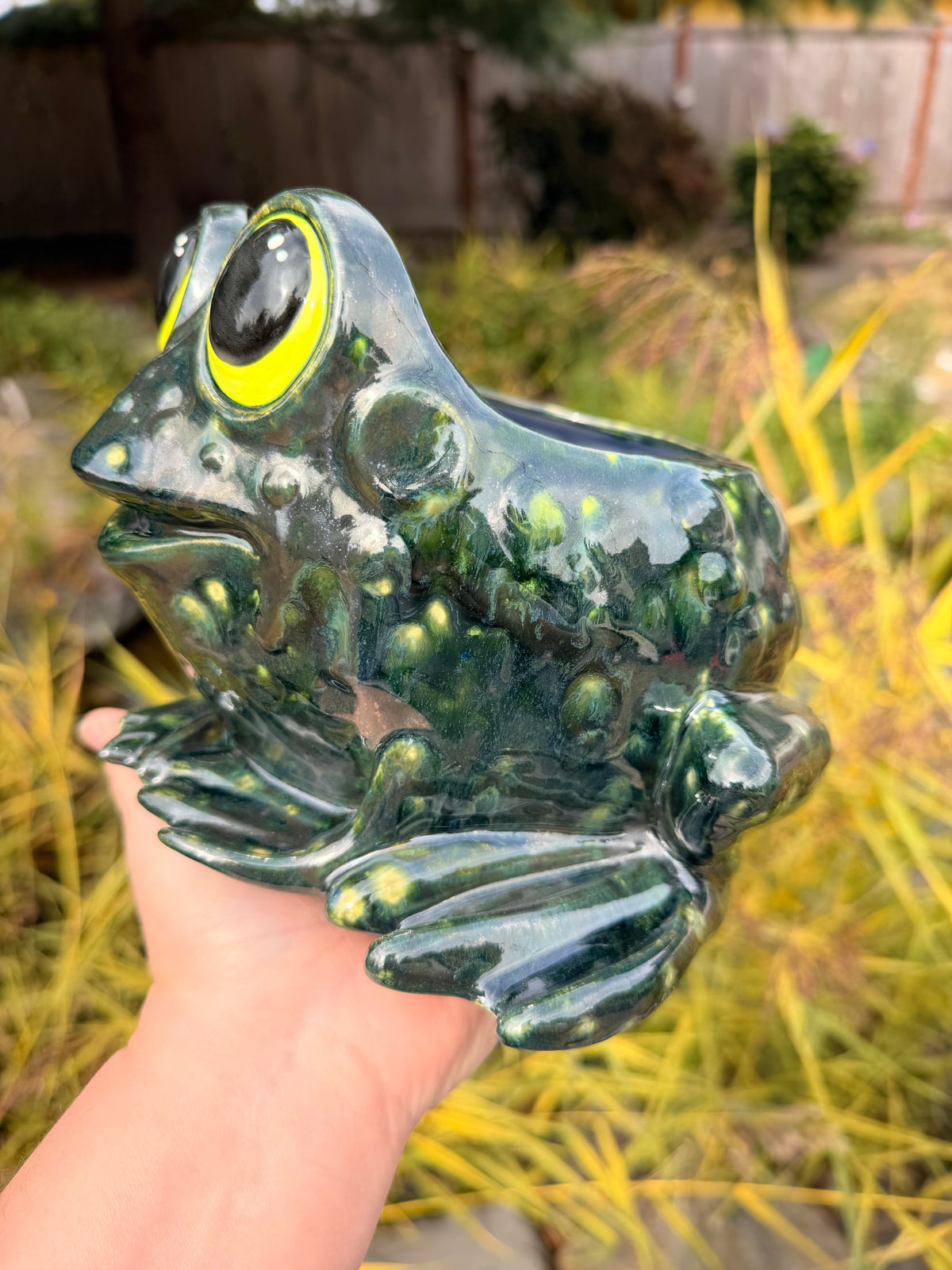Frog Planter #3