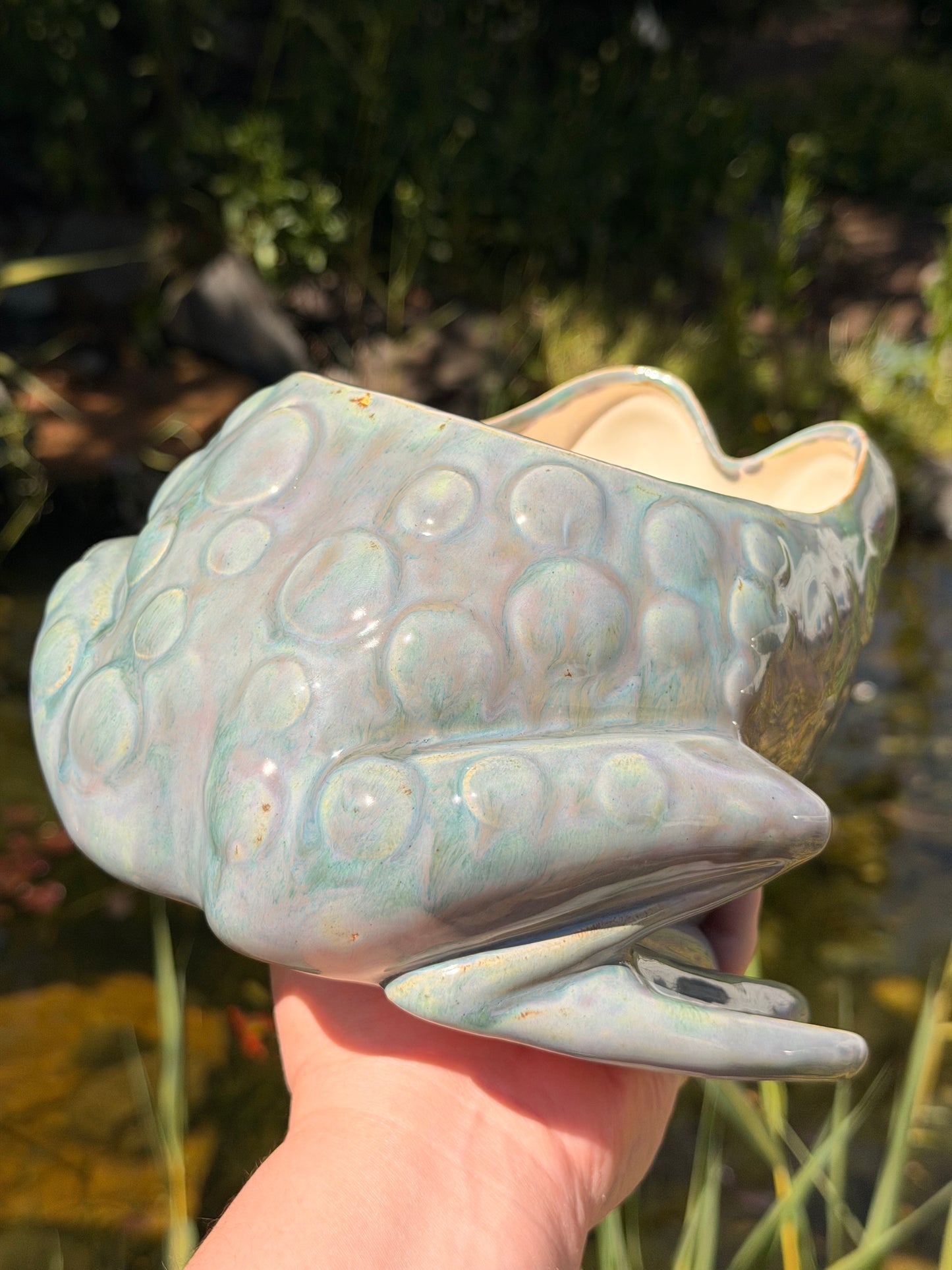 Purple Fog Frog Planter