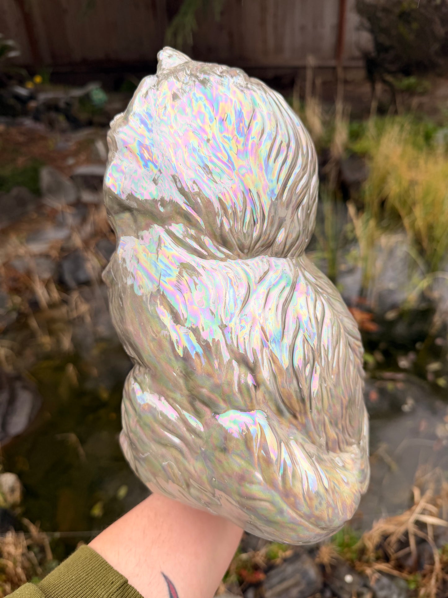 Pearly Gray Tongue out Kitten