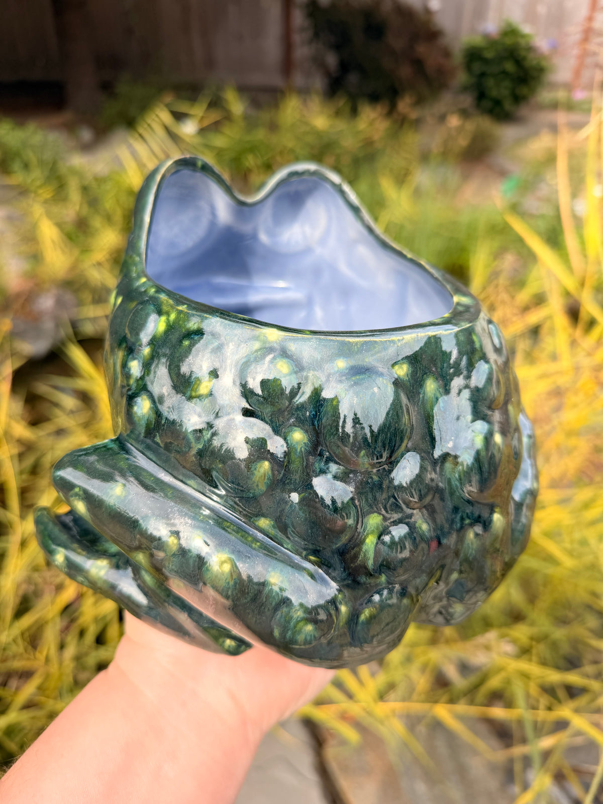Frog Planter #3