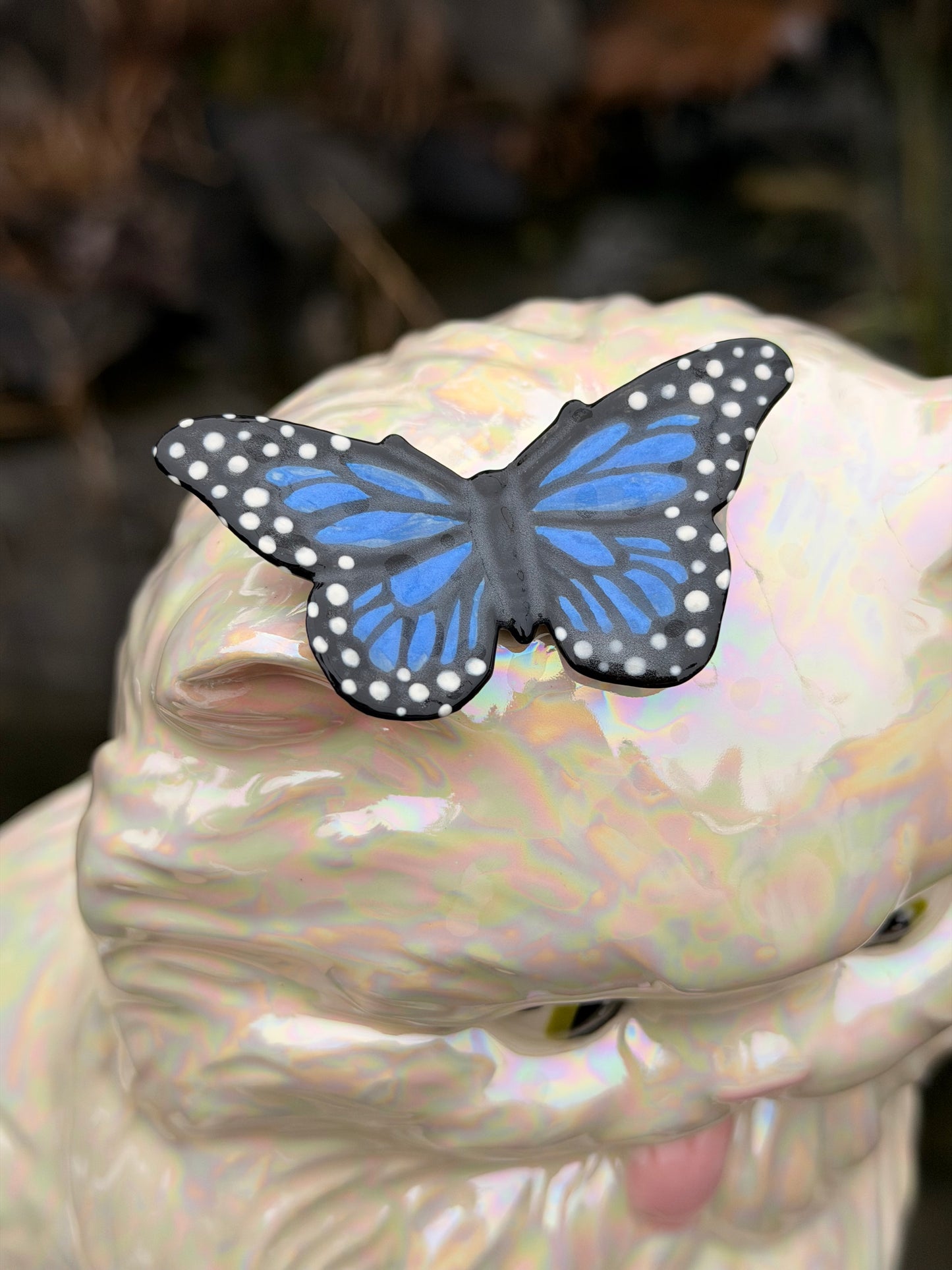 Pearly Tongue out Kitten with Butterfly