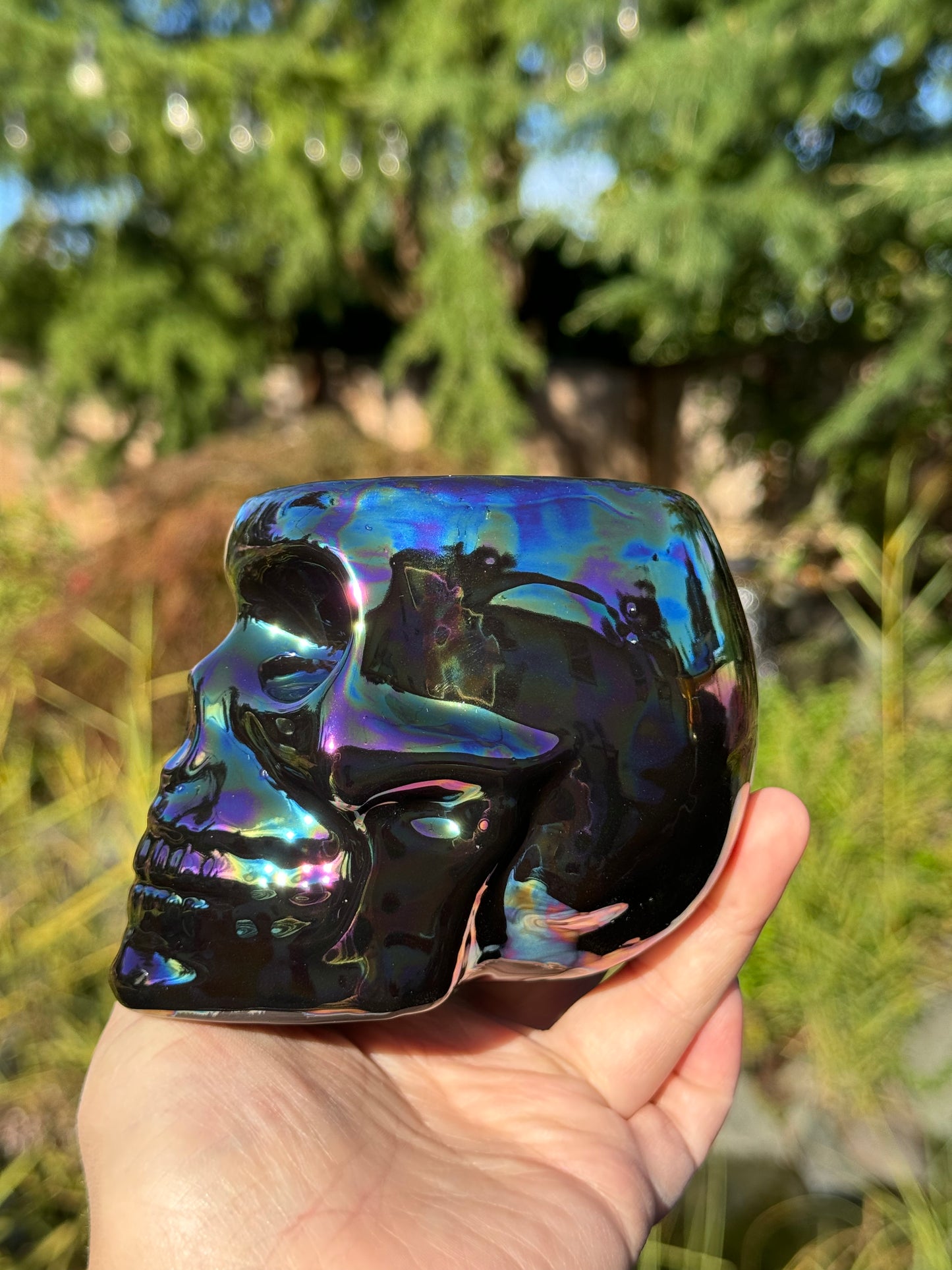 Black Mother of Pearl Skull tumbler set