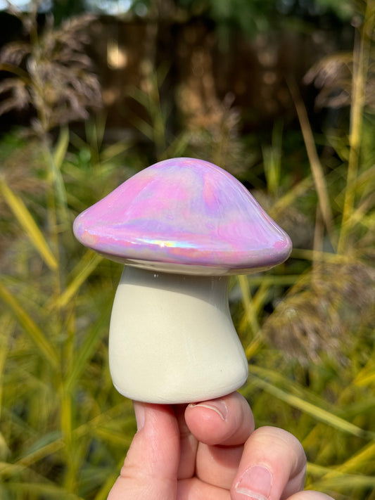 Purple Mother of Pearl Mushroom