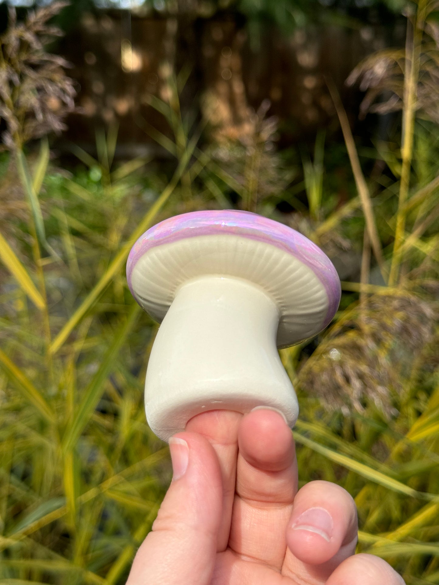 Purple Mother of Pearl Mushroom